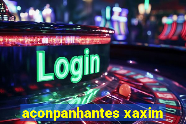 aconpanhantes xaxim